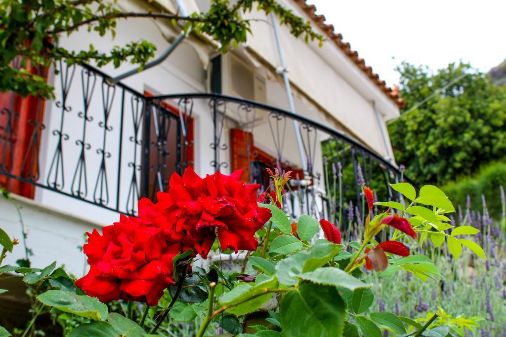 Guesthouse Lykourgos Mavrommátion Dış mekan fotoğraf